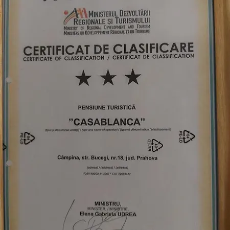 게스트하우스 Casablanca 3*